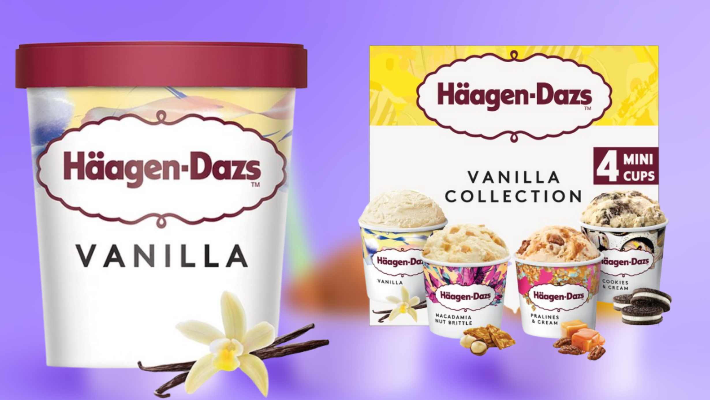 Recall of Specific Batches of Haagen-Dazs Vanilla Tub and Vanilla ...